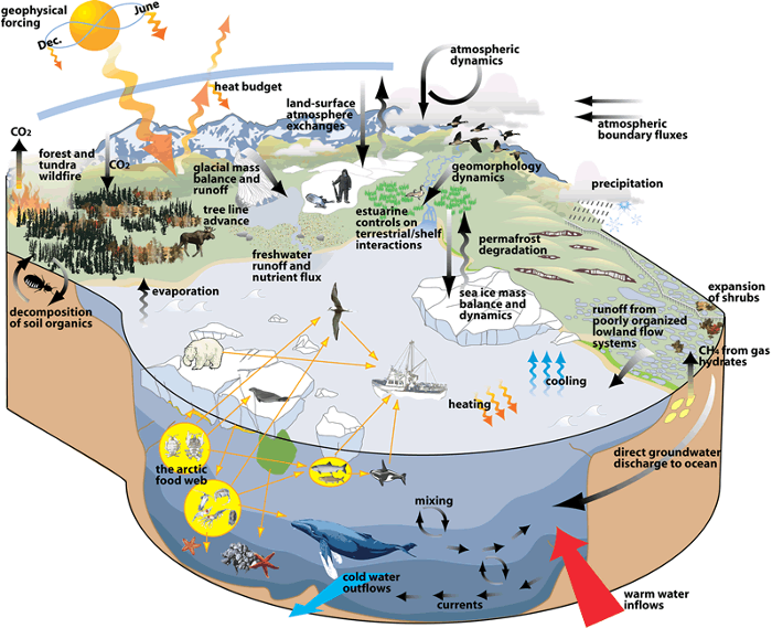 IARC Arctic System Graphic