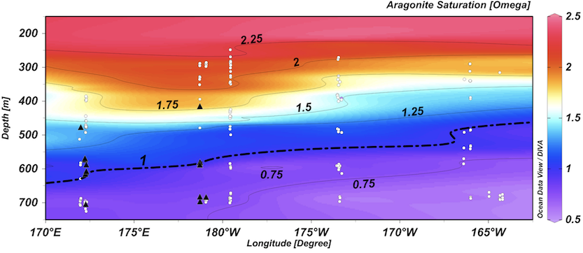 The aragonite saturation horizon (ASH) calculated from measurements in the Northwest Hawaiian Islands.